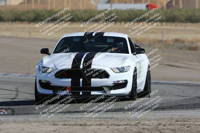 media/Oct-21-2023-Speed Ventures (Sat) [[ddf75163c5]]/Green/Grapvine/